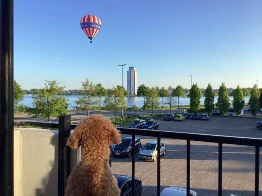 Wohnung zum Kauf 299.000 € 4 Zimmer 103 m² 1. Geschoss frei ab sofort Theaterstraße 4 Schleswig 24837