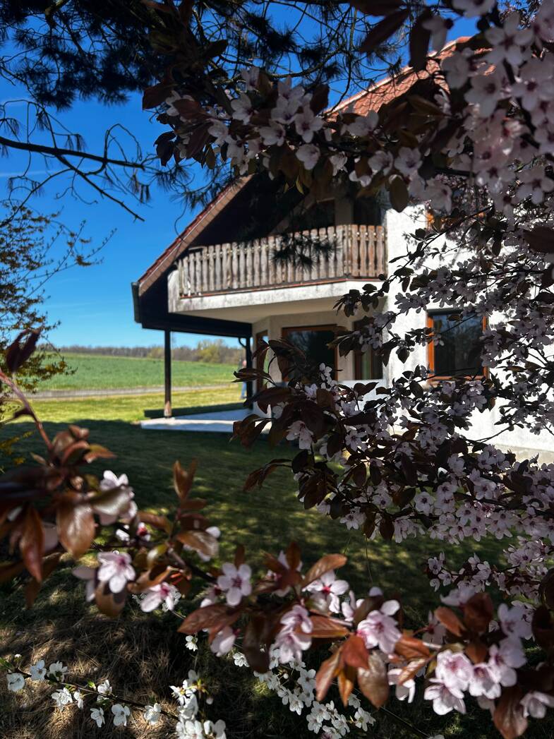 Einfamilienhaus zum Kauf 400.000 € 5 Zimmer 177 m² 846 m² Grundstück Idesheim 54636