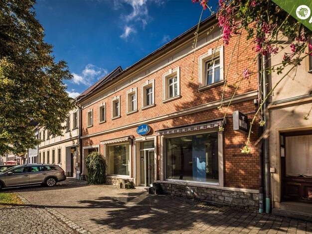 Gewerbeobjekt zum Kauf 199.000 € 15 Zimmer 330 m² 315 m² Grundstück frei ab sofort Ernst-Thälmann-Straße 33 Lützen Lützen 06686
