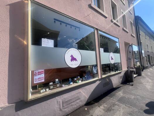 Büro zur Miete provisionsfrei 950 € 3 Zimmer 58,8 m² Bürofläche Alte Basler Straße 3 Bad Säckingen 79713
