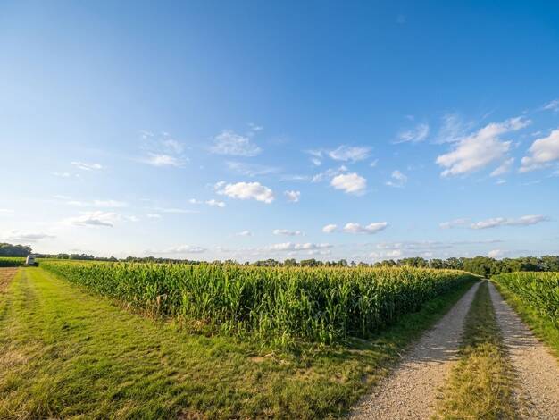 Land-/Forstwirtschaft zum Kauf 15.880 m² Grundstück Löbau Gemarkung Ettling