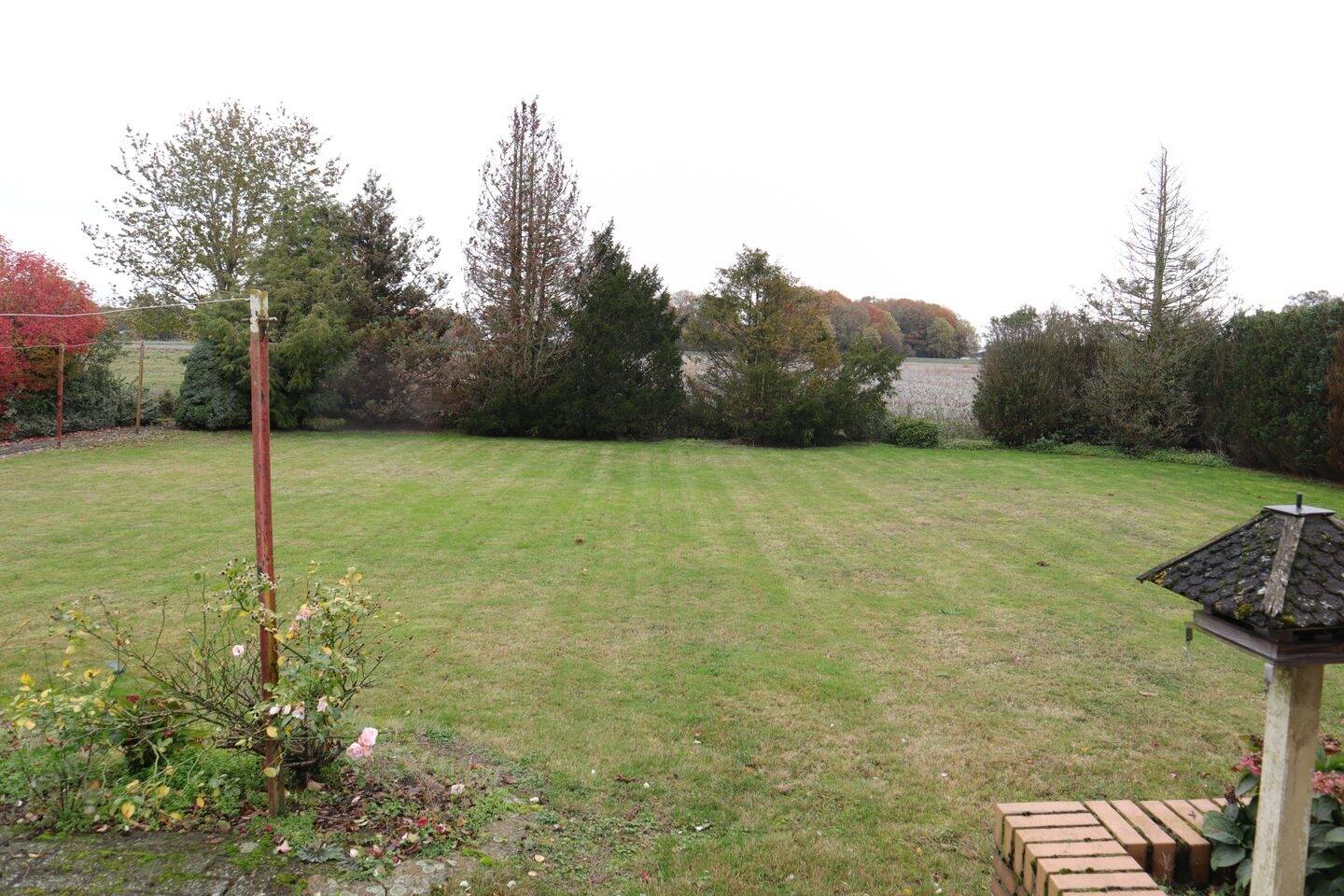 Immobilie in Wagenfeld - Einfamilienhaus in idyllischer Alleinlage - Wagenfeld - Bild 0