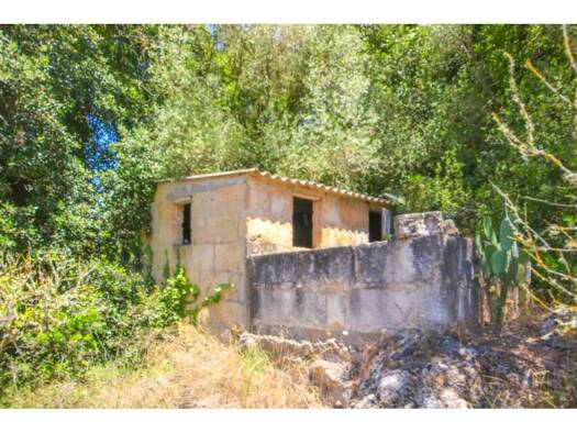 Acker-/Waldstück zum Kauf 54.000 € Artà 07570