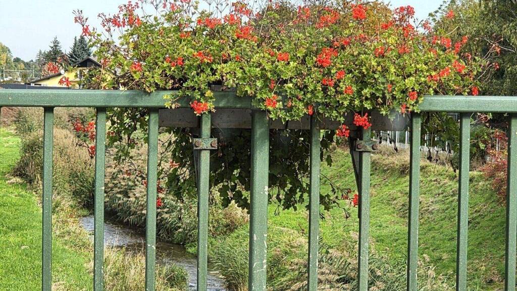 Wohnung zum Kauf 279.000 € 2 Zimmer 89,2 m² 1. Geschoss Neulengbach 3040