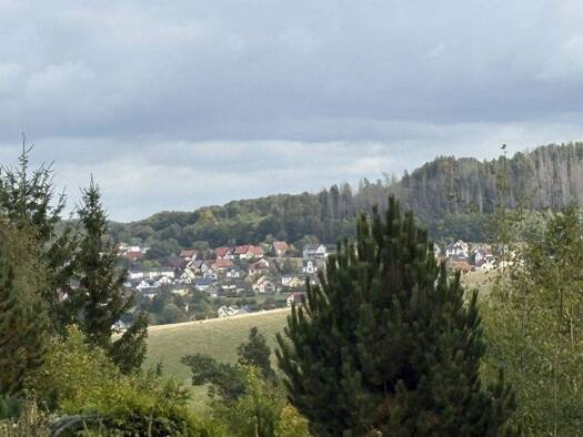 Haus zum Kauf 35.000 € 2 Zimmer 45 m² 382 m² Grundstück Mosbach Wutha-Farnroda / Mosbach 99848