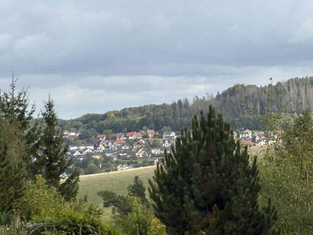 Haus zum Kauf 35.000 € 2 Zimmer 45 m² 382 m² Grundstück Mosbach Wutha-Farnroda / Mosbach 99848