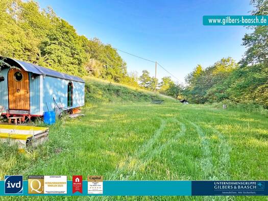Land-/Forstwirtschaft zum Kauf 80.000 € 5.065 m² Grundstück Sommerau 54317