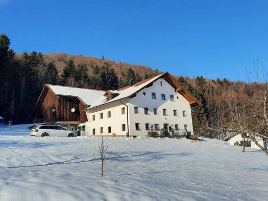 Bauernhaus zum Kauf 790.000 € 9 Zimmer 450 m² 6.785 m² Grundstück frei ab 01.09.2026 Ensmannsreut Waldkirchen 94065