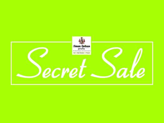 Mehrfamilienhaus zum Kauf 495.000 € 12 Zimmer 325 m² 14.650 m² Grundstück Bad Elster 08645