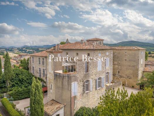 Schloss zum Kauf 850.000 € 10 Zimmer 790 m² 3.137 m² Grundstück Aurignac 31420