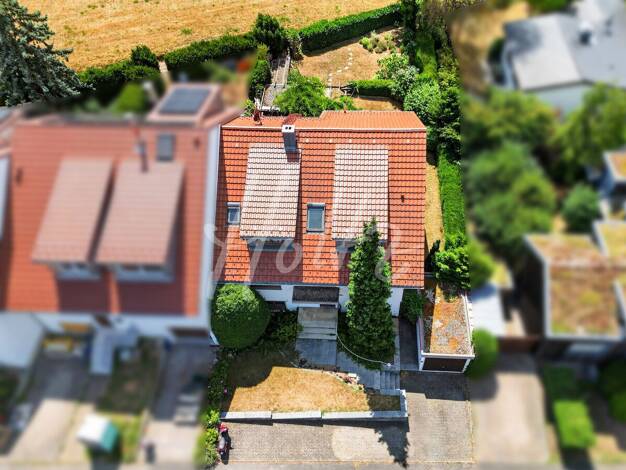 Mehrfamilienhaus zum Kauf 950.000 € 11 Zimmer 232 m² 601 m² Grundstück Wittnau 79299
