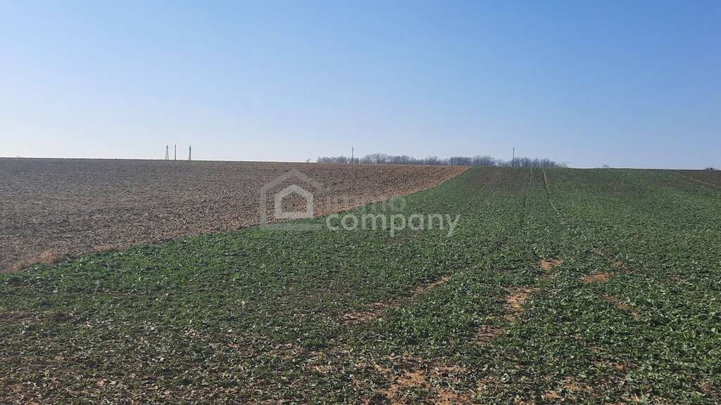 Grundstück zum Kauf 4.800.000 € 79.956 m² Grundstück Nemesboldogasszonyfa 8394