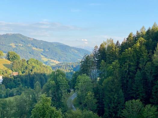 Grundstück zum Kauf 99.500 € 692 m² Grundstück Reichenau im Mühlkreis 4204
