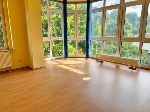 Wohnung zur Miete 335 € 2 Zimmer 67,1 m² Neundorfer Straße 170 Westend Plauen 08523