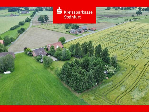 Einfamilienhaus zum Kauf 284.000 € 6 Zimmer 150 m² 2.620 m² Grundstück Ledde Tecklenburg 49545