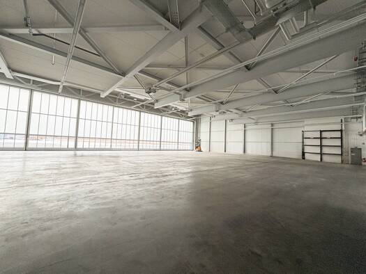 Lagerhalle zur Miete provisionsfrei 2.000 € 1.200 m² Lagerfläche Neuhausen Neuhausen ob Eck 78579