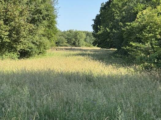 Grundstück zum Kauf 79.000 € 3.327 m² Grundstück Berenbusch Bückeburg / Berenbusch 31675