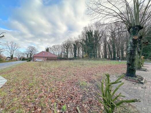 Grundstück zum Kauf 120.000 € 1.281 m² Grundstück Börger 26904