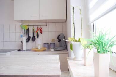 Wohnung zur Miete 225 € 2 Zimmer 37,9 m² 1. Geschoss frei ab 01.07.2025 Köthen Köthen 06366