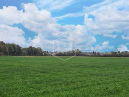 Landwirtschaftliche Fläche zum Kauf 130.000 € 11.739 m² Grundstück Immigrath Langenfeld (Rheinland) 40764