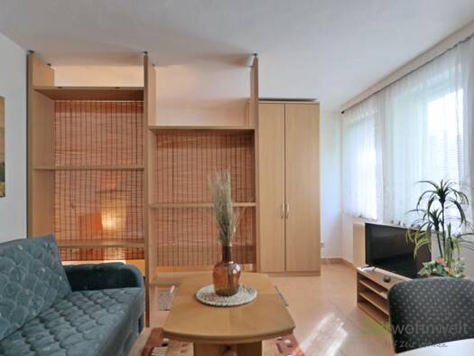 Wohnung zur Miete Wohnen auf Zeit 595 € 1 Zimmer 26 m² frei ab sofort Möbisburg-Rhoda Erfurt 99094