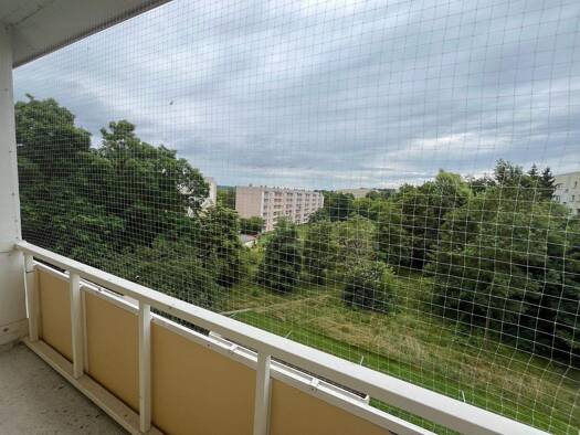 Wohnung zur Miete 249 € 3 Zimmer 60 m² 3. Geschoss frei ab sofort Neuplanitzer Straße 83 Neuplanitz Zwickau 08062