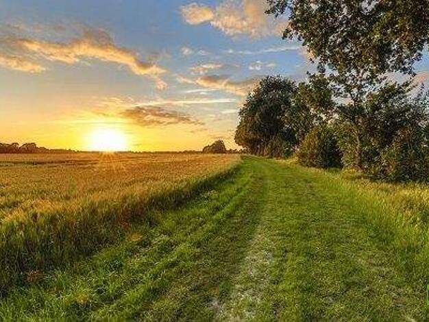 Land-/Forstwirtschaft zum Kauf 19.000 € 9.592 m² Grundstück Bischleben-Stedten Erfurt 99094