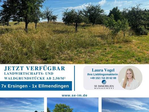 Sonstiges zum Kauf als Kapitalanlage geeignet 9.689 m² 221 m² Grundstück Ersingen Kämpfelbach 75236