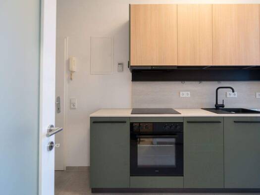 Wohnung zur Miete 590 € 2 Zimmer 35 m² Waldegg Linz 4020