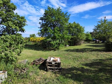 Land-/Forstwirtschaft zum Kauf 593.000 € Vinkuran 52203