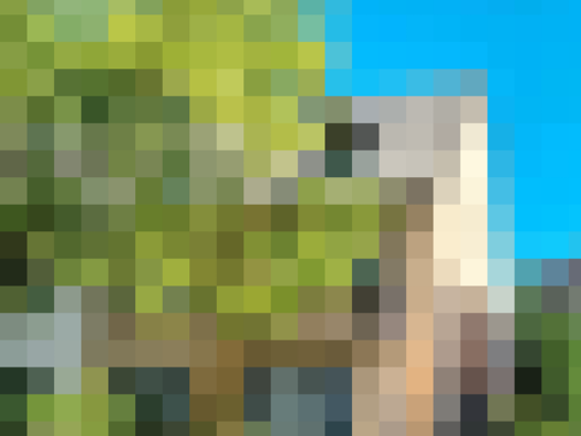 Einfamilienhaus zum Kauf 889.000 € 8 Zimmer 244 m² 337 m² Grundstück frei ab sofort Mitte Koblenz 56068