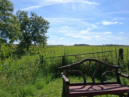 Landwirtschaftliche Fläche zum Kauf 545.000 € 155.735 m² Grundstück Oldenswort 25870