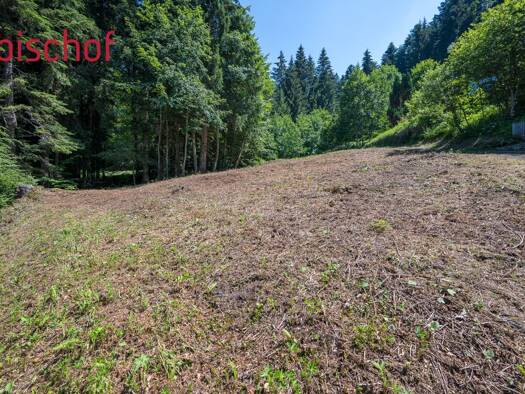 Grundstück zum Kauf 220.000 € 609 m² Grundstück Schwarzenberg 6867