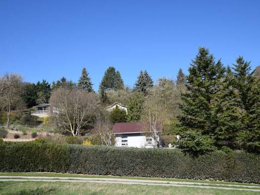 Haus zum Kauf 22.500 € 1 Zimmer 35 m² 690 m² Grundstück Wethau 06618