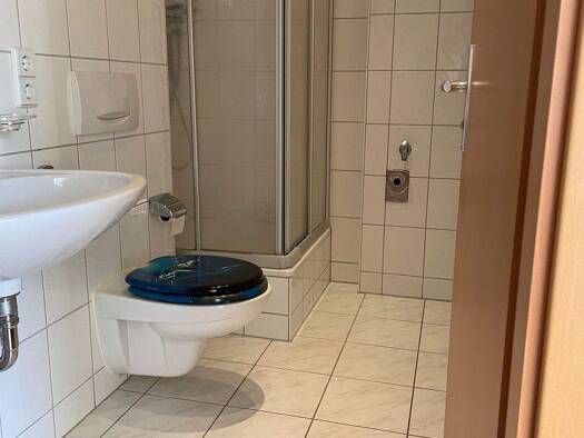Wohnung zur Miete 245 € 1,5 Zimmer 33 m² frei ab 01.03.2026 Chopinstraße 57 Kappel Chemnitz 09119