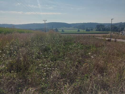 Grundstück zum Kauf provisionsfrei 90.670 € 419 m² Grundstück Wengen Villenbach 86637