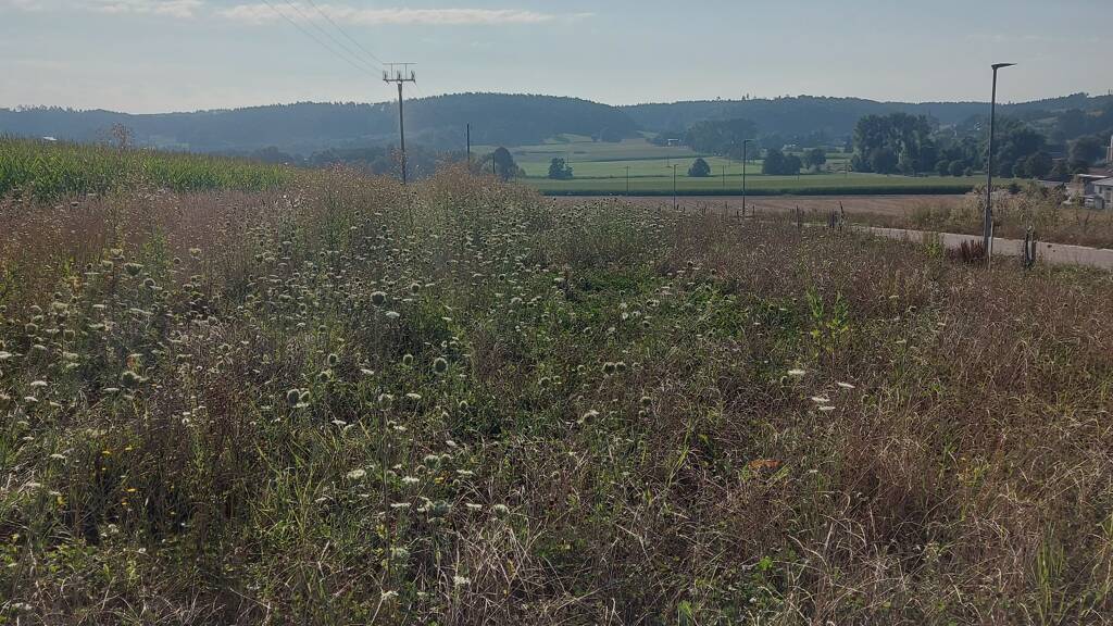 Grundstück zum Kauf provisionsfrei 90.670 € 419 m² Grundstück Wengen Villenbach 86637