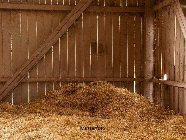 Land-/Forstwirtschaft zum Kauf 13.900 € 9.009 m² Grundstück Töplitz Werder 14542