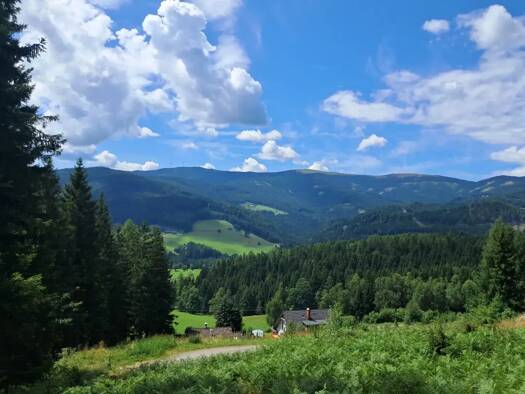 Grundstück zum Kauf 143.900 € 10.876 m² Grundstück frei ab sofort Deutschlandsberg 8530