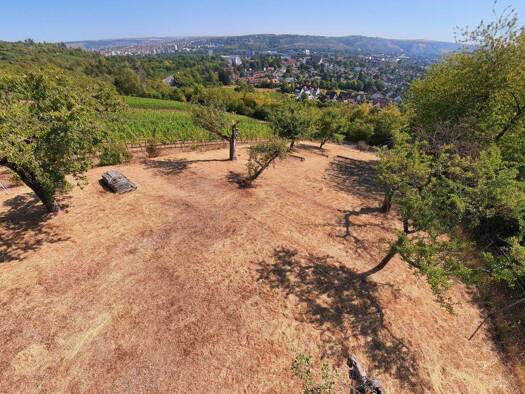 Grundstück zum Kauf 52.000 € 1.151 m² Grundstück frei ab sofort Heidingsfeld Würzburg 97084