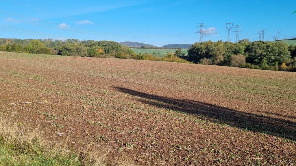 Land-/Forstwirtschaft zum Kauf 54.000.000 CZK Lubenec 0