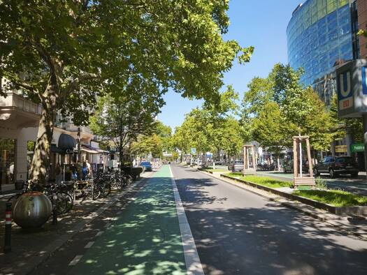 Laden zur Miete 19,60 € 250,5 m² Verkaufsfläche teilbar ab 250,5 m² Steglitz Berlin, Steglitz (Steglitz) 12163