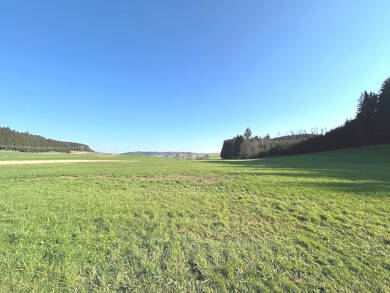 Land-/Forstwirtschaft zum Kauf 75.000 € 18.974 m² Grundstück Kirchhaslach Kirchhaslach / Herretshofen 87755