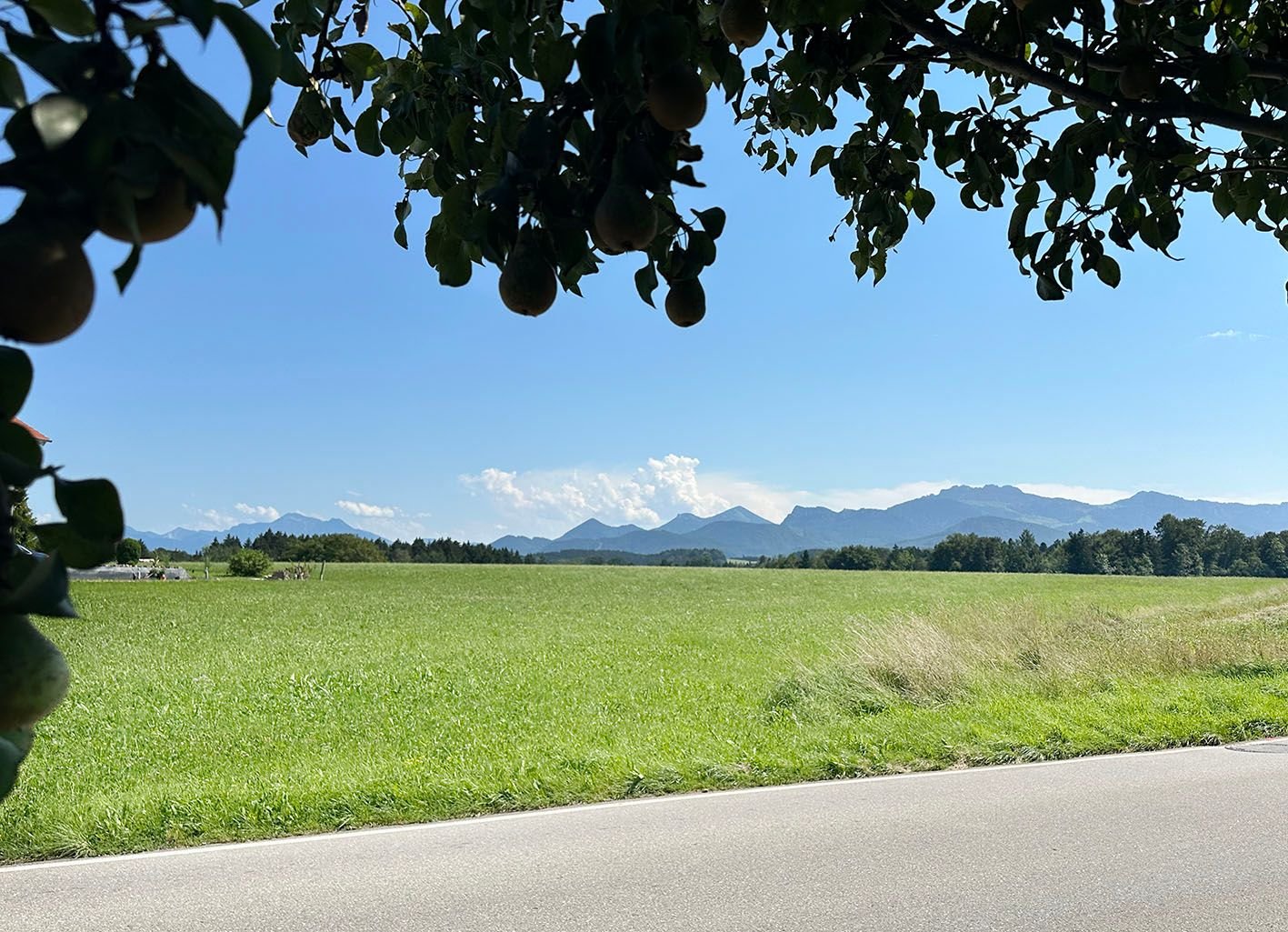 Grundstück zum Kauf 500.000 € 565 m²<br/>Grundstück Ludwigstraße 115 Prien am Chiemsee 83209