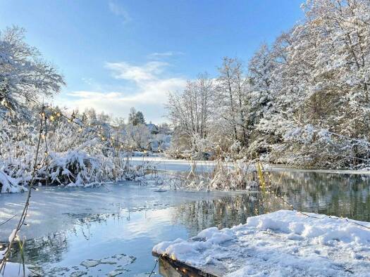 Mehrfamilienhaus zum Kauf 15 Zimmer 550 m² 2.600 m² Grundstück Innere Stadt Villach-St. Martin / Neulandskron 9500
