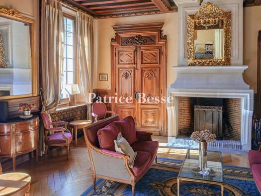 Haus zum Kauf 985.000 € 15 Zimmer 523 m² 9.112 m² Grundstück Interquartiers Blois 41000