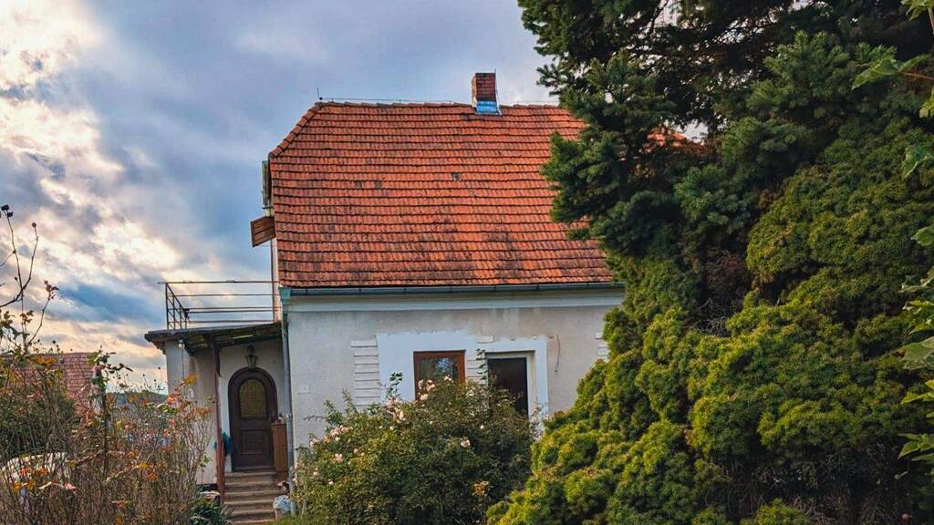 Einfamilienhaus zum Kauf 339.300 € 4 Zimmer 182 m² 7.140 m² Grundstück Sankt Michael im Burgenland 7535