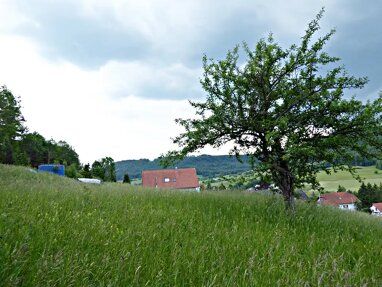 Grundstück zum Kauf 147.500 € 687 m² Grundstück Killer Burladingen 72393