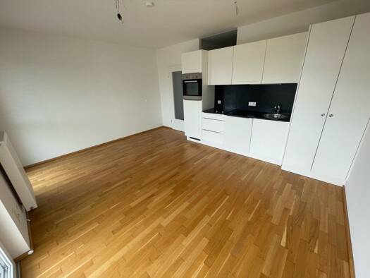 Wohnung zur Miete 431 € 45,3 m² 1. Geschoss Sinabelkirchen 8261