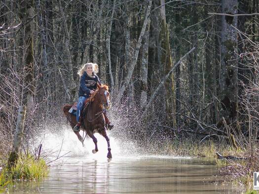 Reiterhof zum Kauf 4.700.000 € 23.000 m² Grundstück Auerbach 5224